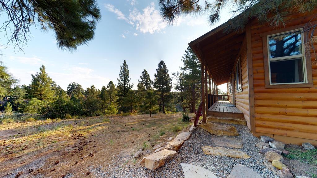 Long View Cabin, Breakfast Deck Overlooking The Canyon! Monticello Exterior foto
