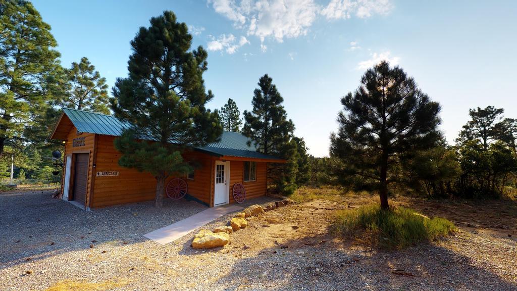 Long View Cabin, Breakfast Deck Overlooking The Canyon! Monticello Exterior foto